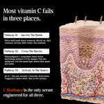 Diagram of skin layers with text about vitamin C's effectiveness and a product called 'C Radiance'.