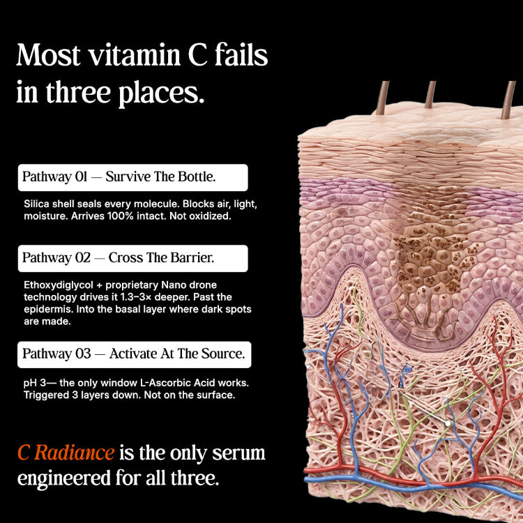 Diagram of skin layers with text about vitamin C's effectiveness and a product called 'C Radiance'.
