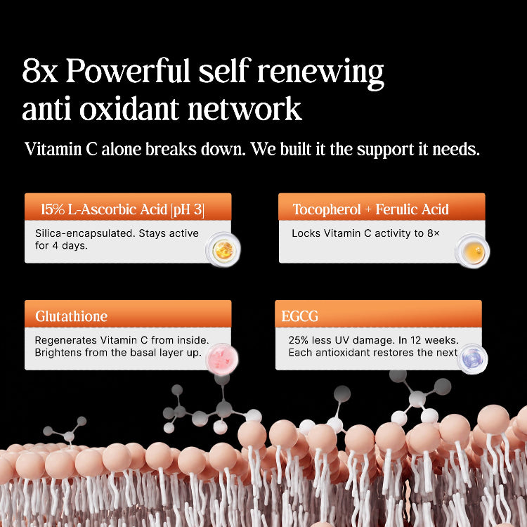 Diagram of a powerful self-renewing antioxidant network with text and icons on a black background.